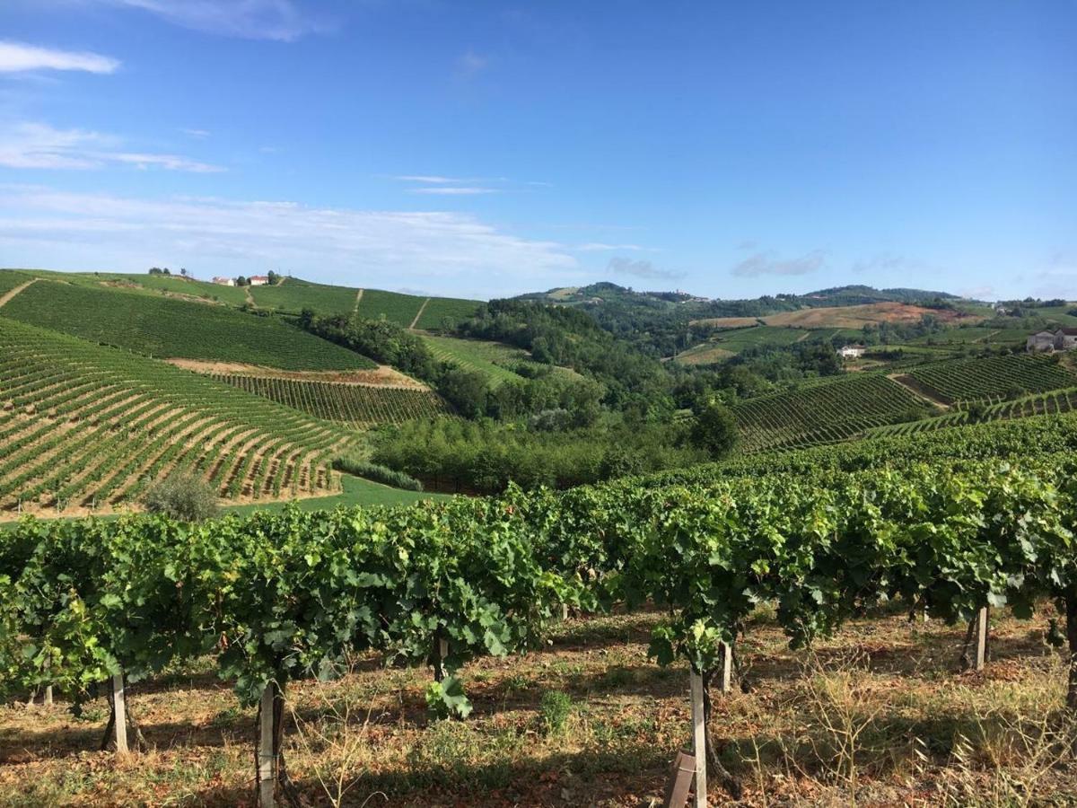 Pensjonat Verdmont Acqui Terme Zewnętrze zdjęcie